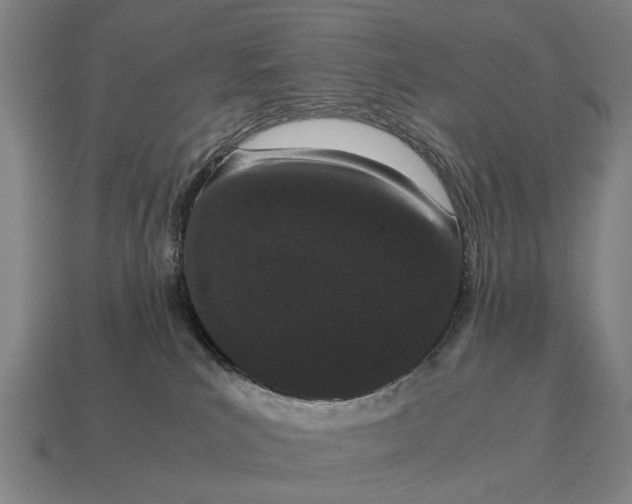 X0000115080039200911101512