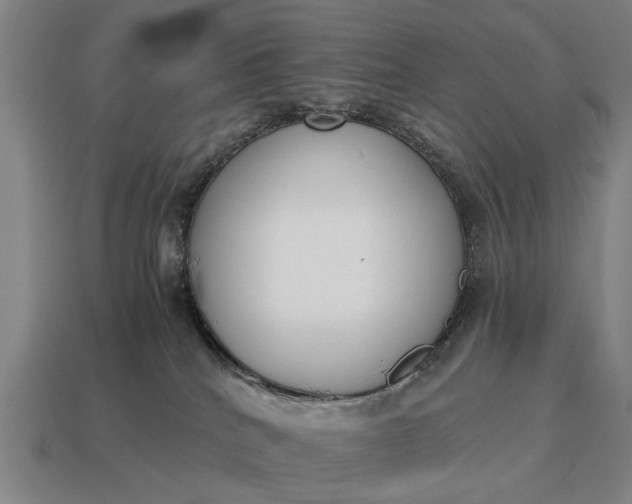 X0000115080040200911101512