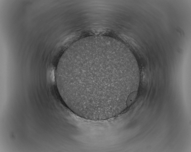 X0000115080042200911101512
