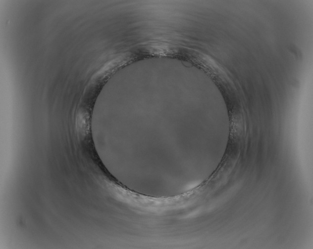 X0000115080043200911101512