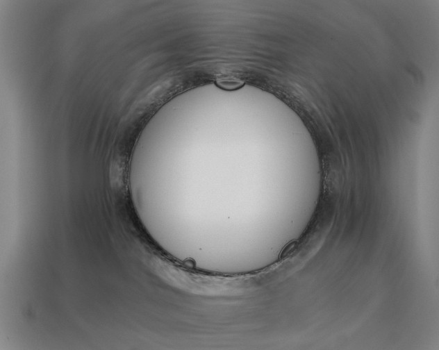 X0000115080044200911101512