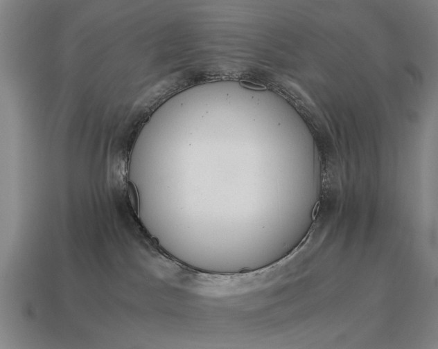 X0000115080045200911101512