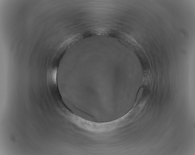 X0000115080047200911101512