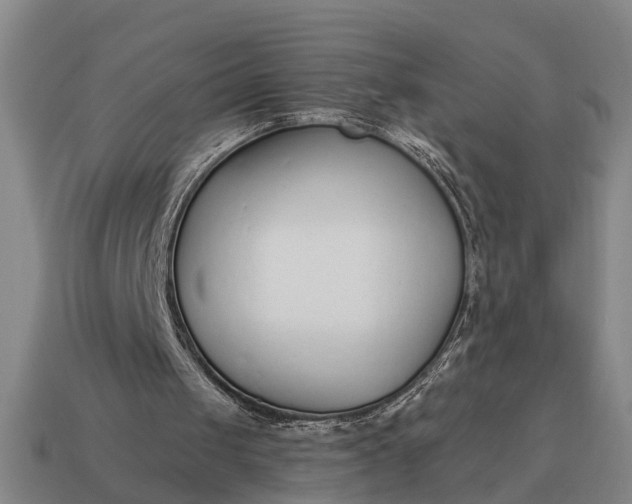 X0000115080049200911101511