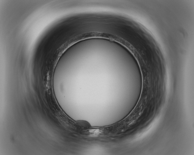 X0000115080050200911101511