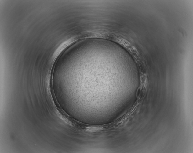 X0000115080051200911101511