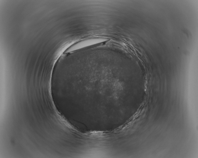 X0000115080052200911101511