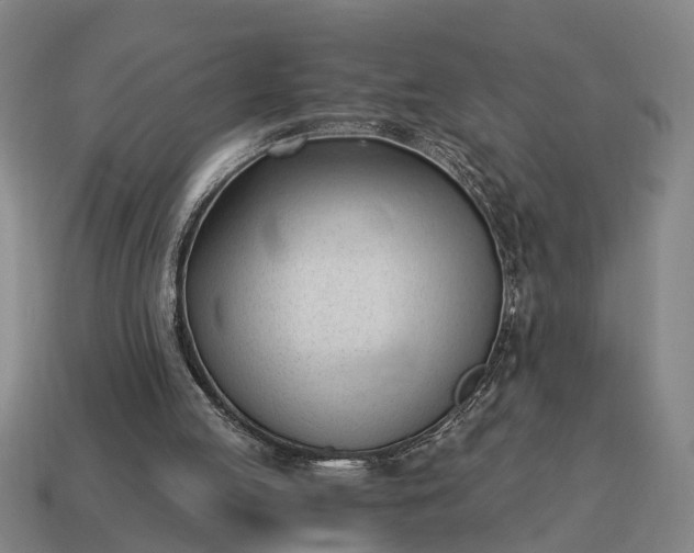 X0000115080053200911101511