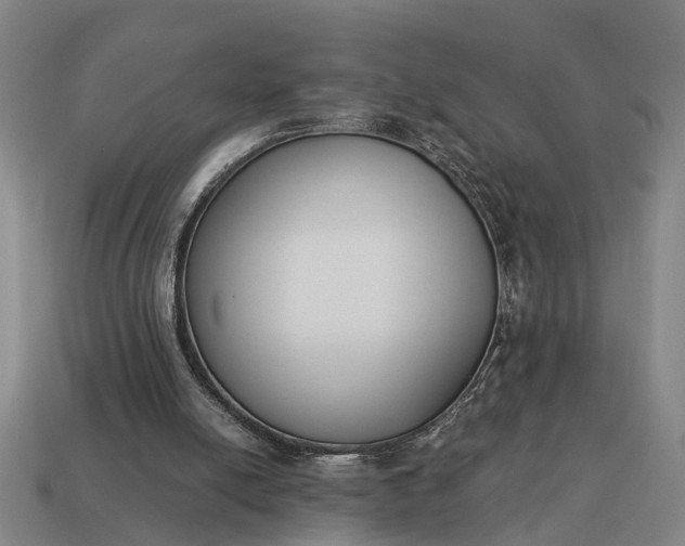 X0000115080054200911101511