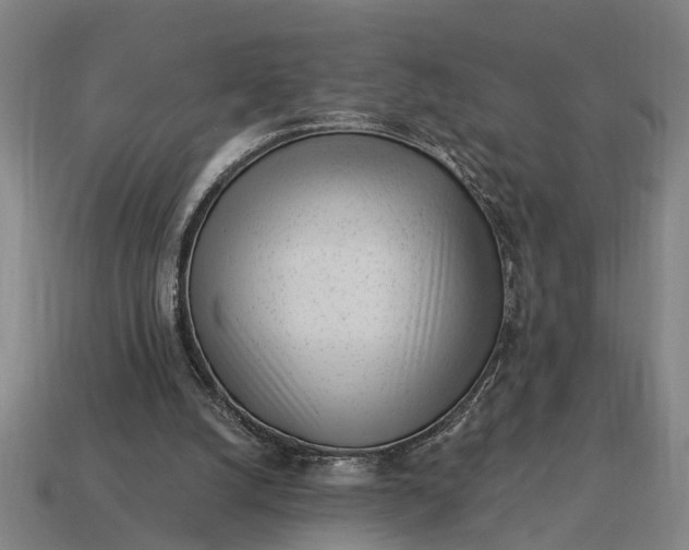 X0000115080056200911101511