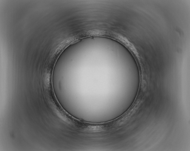 X0000115080057200911101511