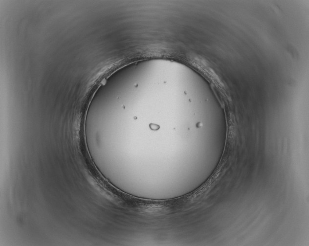 X0000115080058200911101511