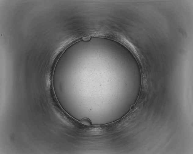 X0000115080059200911101511