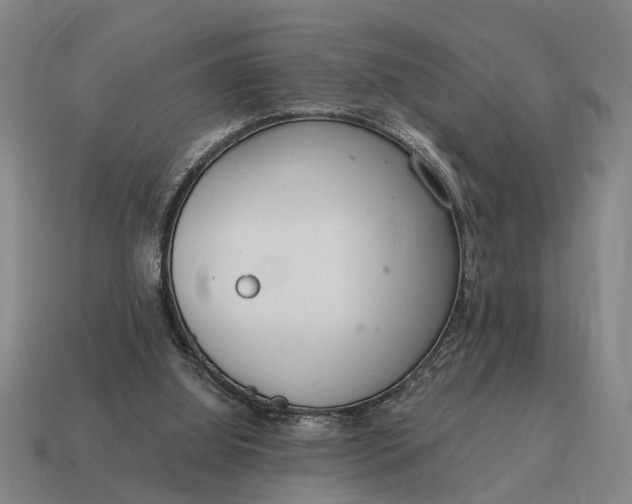 X0000115080060200911101511