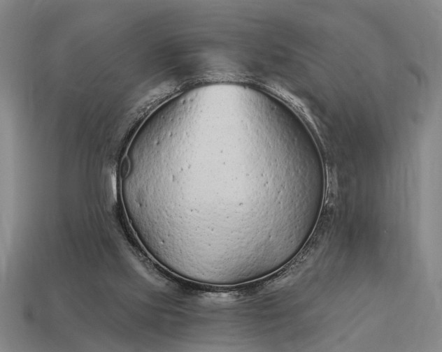 X0000115080061200911101511