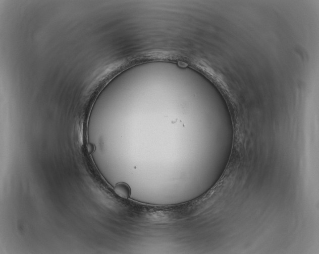 X0000115080062200911101511