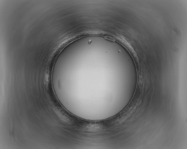 X0000115080063200911101511