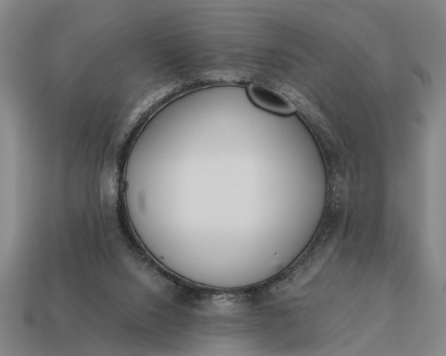 X0000115080064200911101511