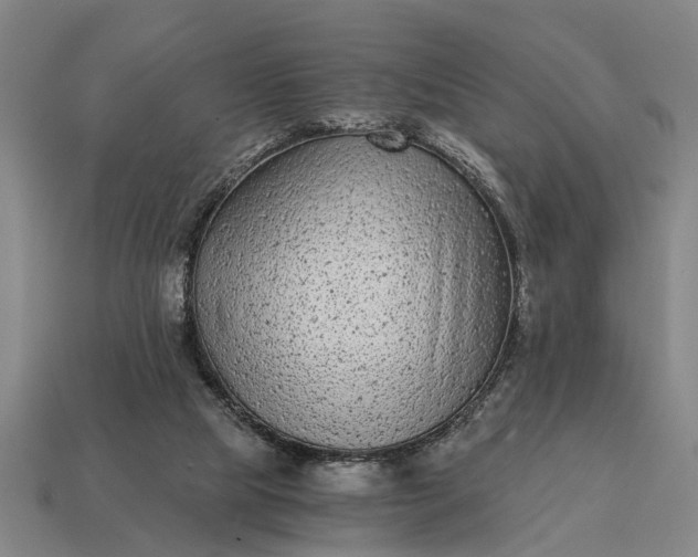 X0000115080065200911101511