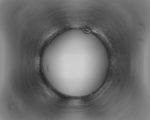 X0000115080066200911101511