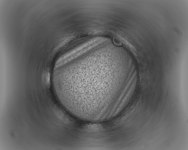 X0000115080067200911101511