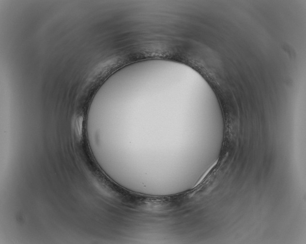 X0000115080070200911101511