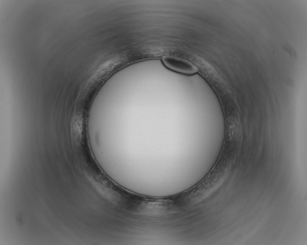 X0000115080072200911101511