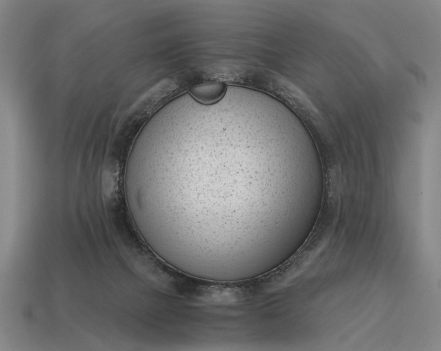 X0000115080073200911101511