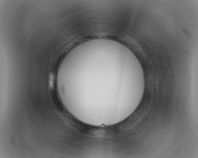 X0000115080075200911101511