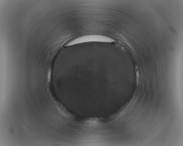 X0000115080076200911101511