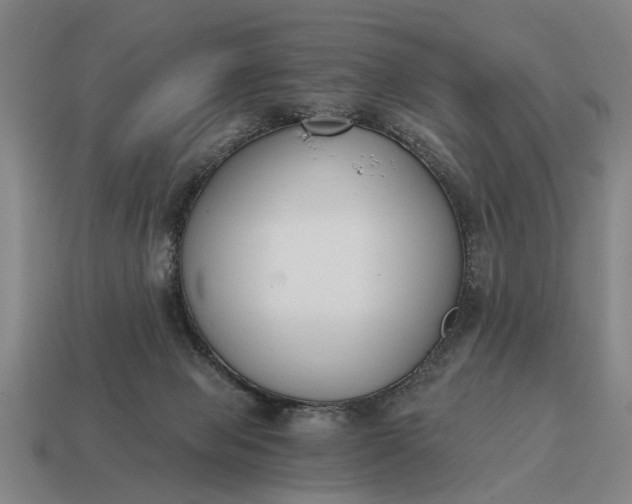X0000115080077200911101511