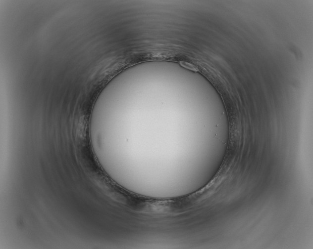 X0000115080078200911101511