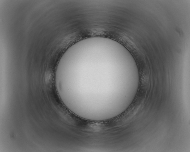 X0000115080079200911101511