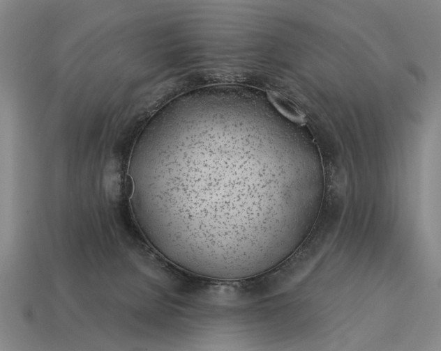X0000115080080200911101511