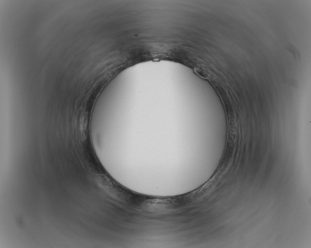 X0000115080082200911101511