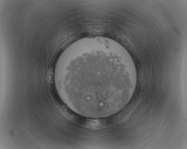 X0000115080083200911101511