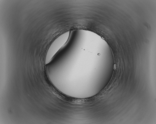 X0000115080084200911101511