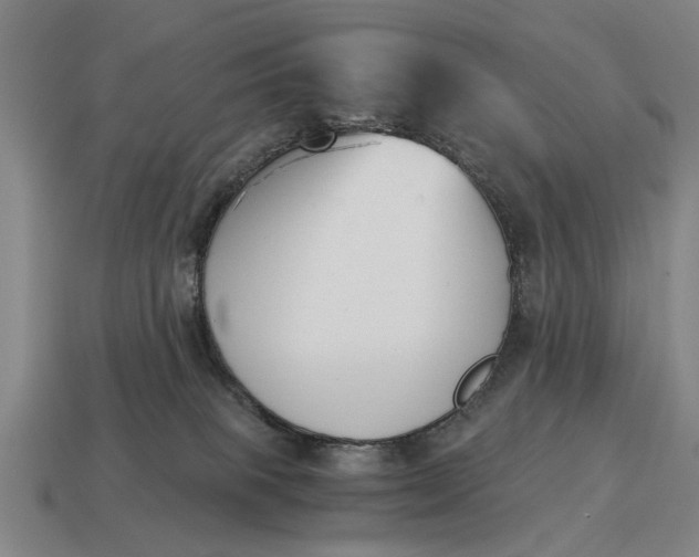 X0000115080085200911101511