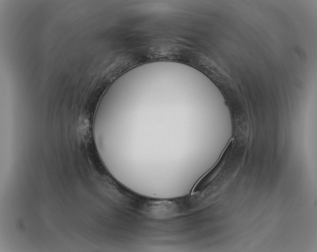 X0000115080087200911101511