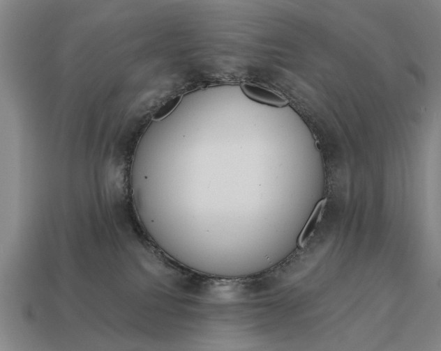 X0000115080088200911101511
