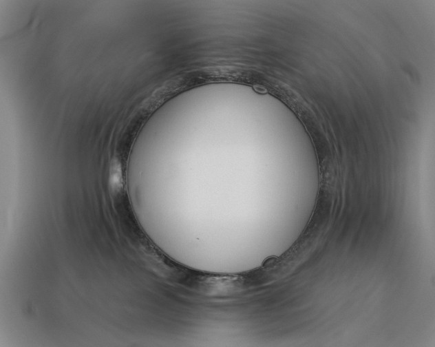 X0000115080089200911101511