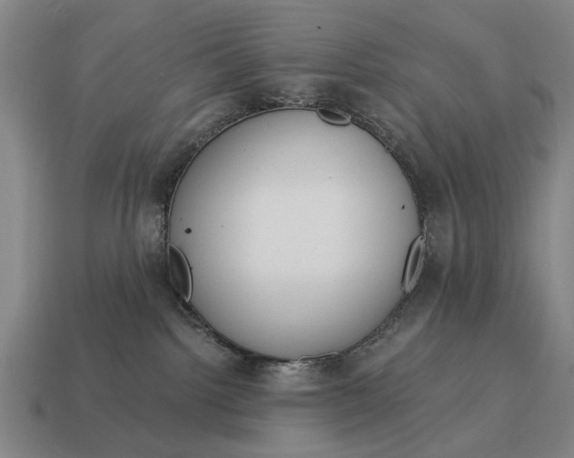 X0000115080092200911101511