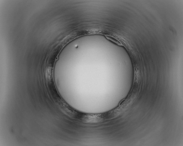 X0000115080093200911101511