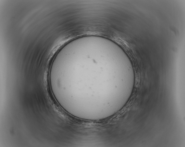 X0000115080098200911101511