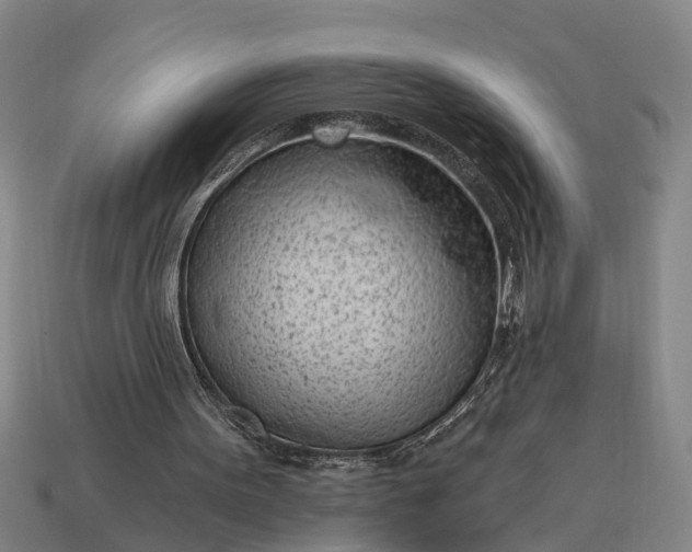 X0000115080099200911101511