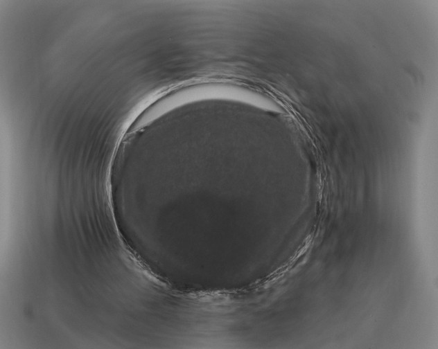 X0000115080100200911101511