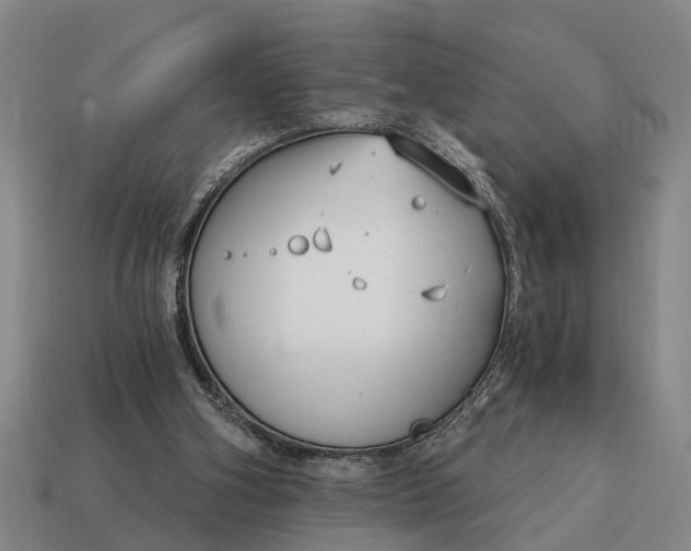 X0000115080106200911101511