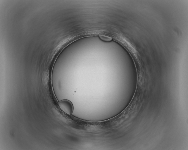 X0000115080107200911101511