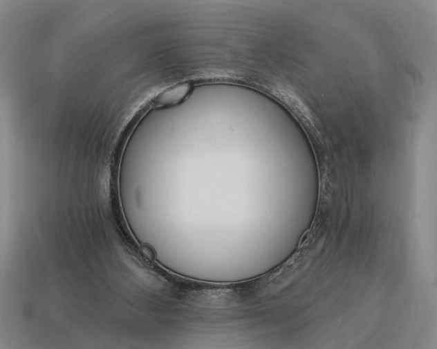 X0000115080108200911101511
