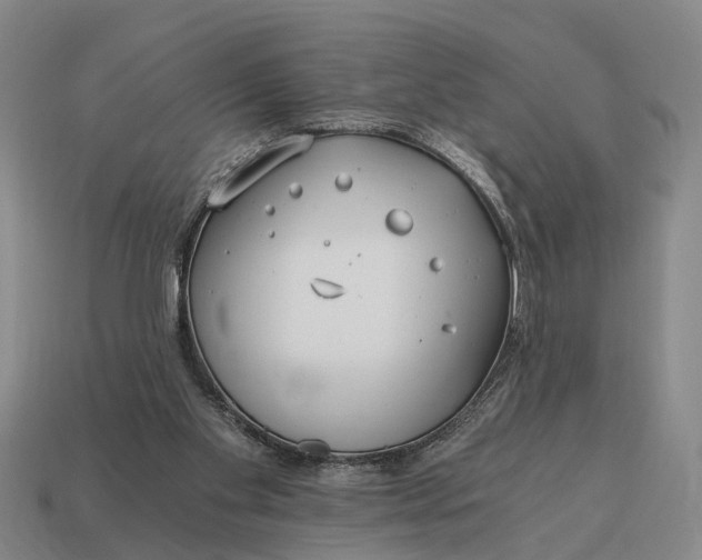 X0000115080109200911101511